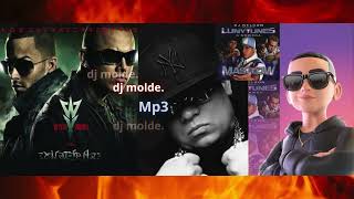 Mix  Reggaeton  Wisin Y Yandel  Daddy Yankee  Hector El Father djmolde [upl. by Slavic932]