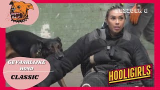 Hooligirls S08E05 Hond [upl. by Berriman15]