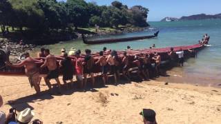 Pulling the Waka in Waitangi Day 2017 [upl. by Aldus]