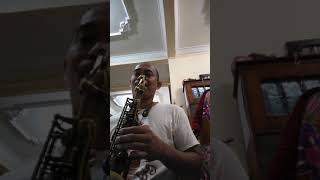 Holton 566 Alto saxophone [upl. by Haikan]