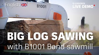 Big log sawing with B1001 Band Sawmill  LOGOSOL LIVE [upl. by Philips]