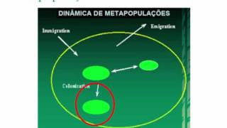 Ecologia Evolutiva 1 Aula 6 metapopulação [upl. by Ortrude]