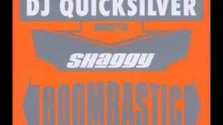 Dj Quicksilver Meets Shaggy  Boombastic Epic Mix [upl. by Engracia180]