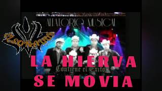 ALEATORIO MUSICAL quot LA HIERVA SE MOVIAquot ALEATORIOMUSICAL [upl. by Yeknarf]