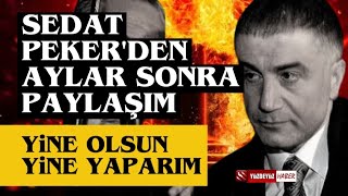 Sedat Pekerden Aylar Sonra Paylaşım Evet Dedim [upl. by Rechaba]