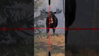 Swiss Moose gaming hunterlife gatorhunting gamingshorts funny huntlife hunting hunterslif [upl. by Aiceila]