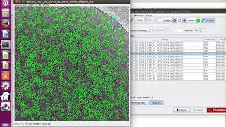 Scipion tutorial Beta galactosidase Part2 Particle picking [upl. by Eveiveneg]