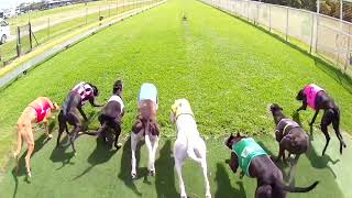 CapalabaWednesday01102024Race3 [upl. by Fiann64]