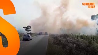 Grasbrand aan de Magentakanaal weg  Suriname Today [upl. by Annoyt681]