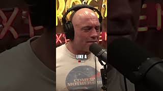 🔥Joe Rogan on Most Vicious Left Hook KO👊 [upl. by Jermaine]