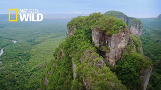 COLOMBIA SALVAJE ESPECIAL CHIBIRIQUETE  NATGEO WILD [upl. by Niaz733]