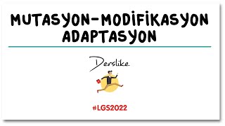 Mutasyon Modifikasyon Adaptasyon  LGS Fen Bilimleri [upl. by Enomor]