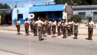 Desfile Gendarmería Nacional Argentina [upl. by Johanna]