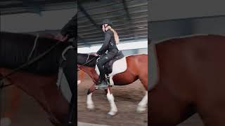 Så er vi meldt til stævne den 16 og 17 november Vi skal ride LC1 med opråb og hold med gallop [upl. by Emmalee]