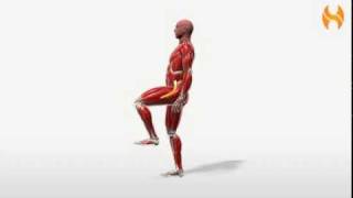 Exercise Videos Standing Knee Raise [upl. by Alesandrini]