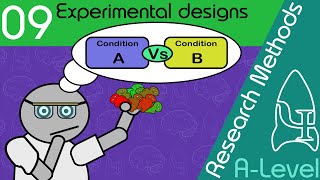 Experimental Design  Research Methods ALevel Psychology [upl. by Liuka709]