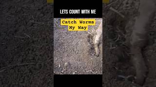 Worm Whisperer Catch Worms My Way 🪱🌿 worms compostingworms gardening fishingbait [upl. by Sandy232]