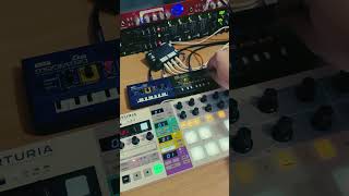 Monotron Delay and Duo with CV mod driven by Beatstep Pro ⚡️monotron korg jam beatsteppro [upl. by Henning]