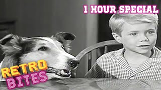 1 Hour Special  Lassie  Full Episodes  Old Cartoons [upl. by Ulphi258]