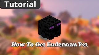 How To Get ENDERMAN PET in Hypixel Skyblock [upl. by Berfield]