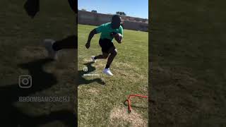 Jaylen McGill 1RB in Sc 4 ⭐️ Broome high school  Spring break work footwork [upl. by Htebezile]