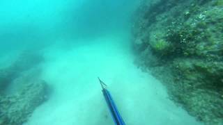 spearfishing straddie high rock piv [upl. by Hurwit]