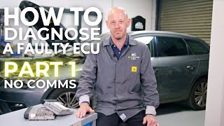 How To Diagnose A Faulty ECU With No Communication [upl. by Deron605]