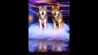 OMG 😳😱 THIS GUYS SHOCKED HOLE AGT JUDGES AND PEOPLE 😱😳 WATCH UNTIL THE END 🔚 agt foryou goviral [upl. by Ydoc]