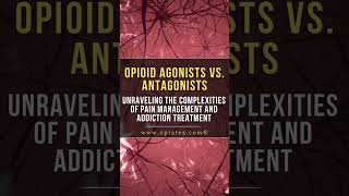 Opioid Agonists vs Antagonists [upl. by Vernor]