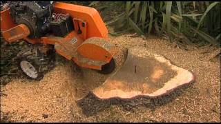 Stump Humper Stump Grinder [upl. by Haissi]