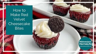 How to Make Red Velvet Mini Cheesecake Bites [upl. by Elauqsap]