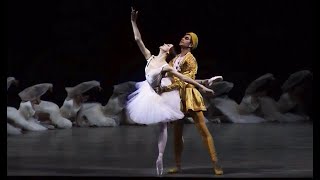 Tsiskaridze amp Pavlenko  Vikharev Reconstruction Bayadere Act 3 Excerpts [upl. by Sorci]