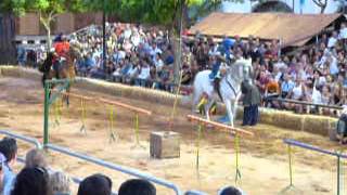 Jousting at Silves Medieval Fair Algarve August 2012 Portugal [upl. by Enileme]