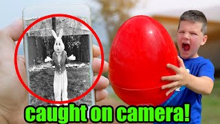 EASTER BUNNY Caught on CAMERA [upl. by Fransen572]