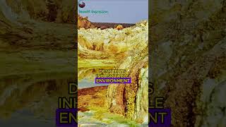 The Danakil Depression  Earths Extreme Geological Wonder facts Danakil Geological Depression [upl. by Sargent]