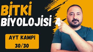 Bitki Biyolojisi 4  30 Derste AYT Biyoloji Kampı 30Ders  2025  Cici Biyoloji [upl. by Patrizia]