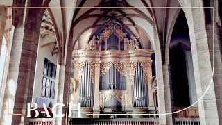 The Silbermann organ in Freiberg  Netherlands Bach Society [upl. by Siderf]