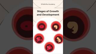 Stages of Growth and Development shorts [upl. by Aikym]