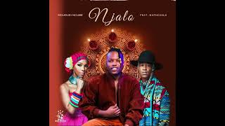 Mduduzi Ncube Ft Mafikizolo  Njalo Official Audio [upl. by Yssirc]