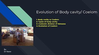 Evolution of Body cavity or Coelom [upl. by Humble]