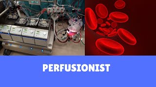 Perfusionist  what we do [upl. by Ynnod113]