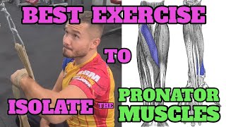 Best Exercise to Isolate the Pronator Muscles [upl. by Vincelette921]