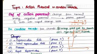 Action Potential in Cardiac Muscles  CVS physiology [upl. by Hawken]