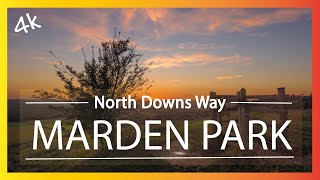 The Secrets of North Downs Revealed Explore Marden Park and Greensand Way [upl. by Seabury]