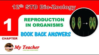 12th BioZoology Chapter1 Book Back Answers  My Teacher [upl. by Yttisahc866]