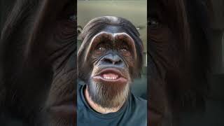 AIN’T THAT A KICK IN THE HEAD deanmartin music song lucky kissed kick head chimpanzee [upl. by Mode150]