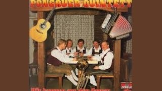 Pongauer Quintett Schlittenglocken 1992 Bischofshofen Musikantentreffen [upl. by Inaja114]