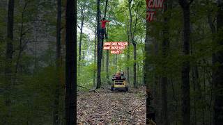 Bow Hunting Hang On Tree Stand Going Up  1 Month Out 🏹🦌 Hunting BowHunting DeerHunting [upl. by Plafker]