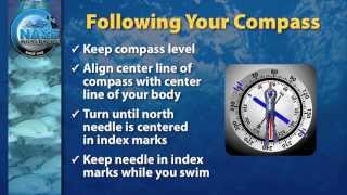 Compass Navigation [upl. by Lyndon]