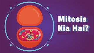 What is Mitosis  Mitosis Kia Hai  UrduHIndi [upl. by Notyard99]